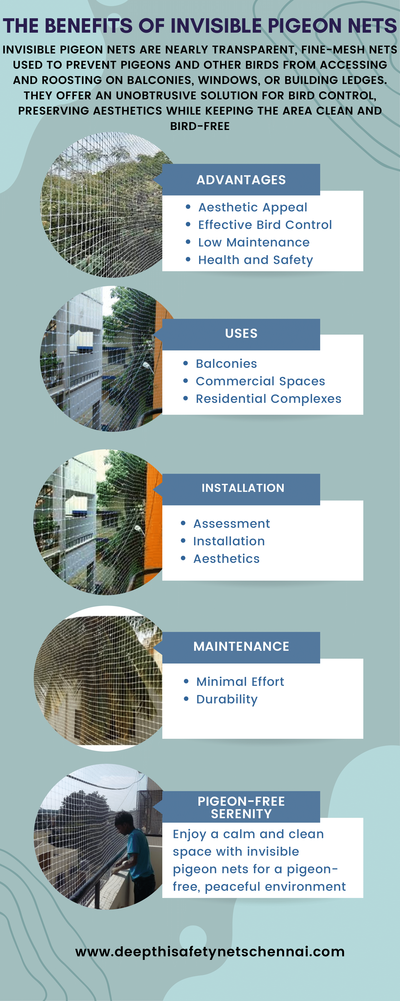 Invisible Pigeon Nets - Infographic